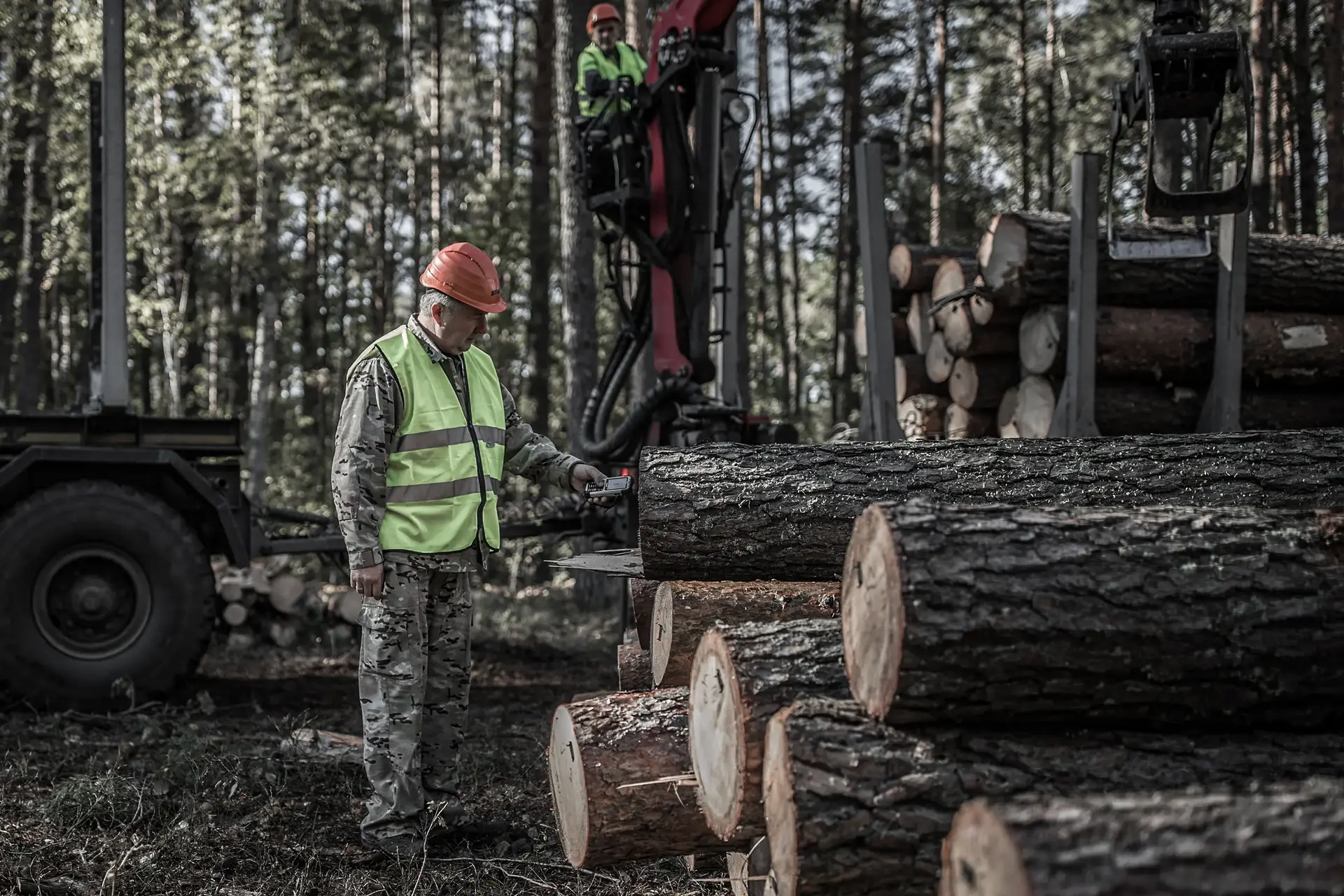 Logging Industry In Png